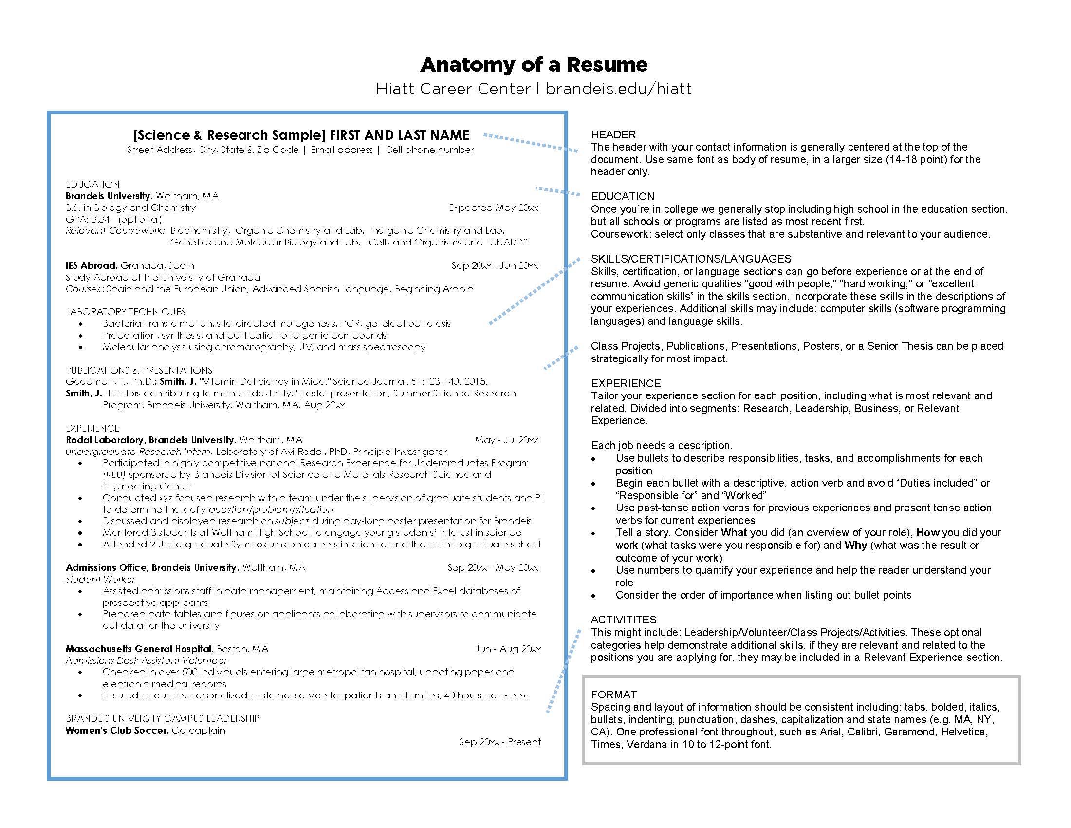 Anatomy of a Resume